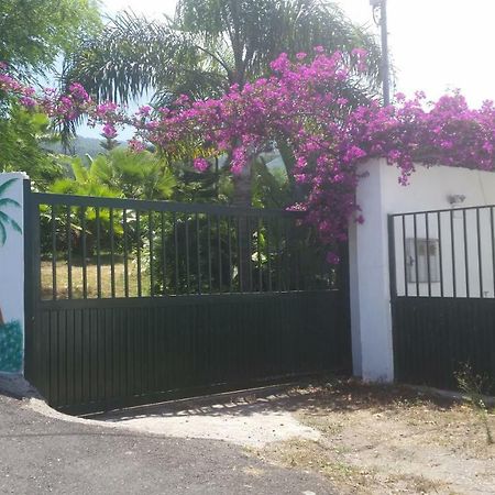Finca Las Palmeras Icod De Los Vinos Exterior photo