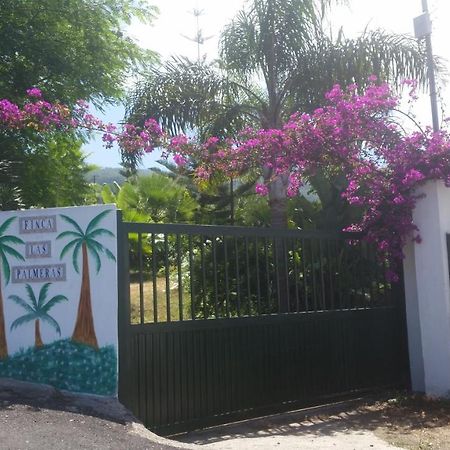Finca Las Palmeras Icod De Los Vinos Exterior photo