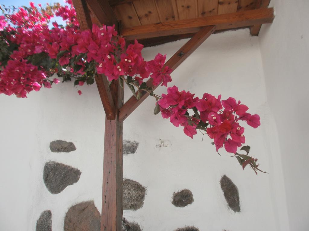 Finca Las Palmeras Icod De Los Vinos Exterior photo