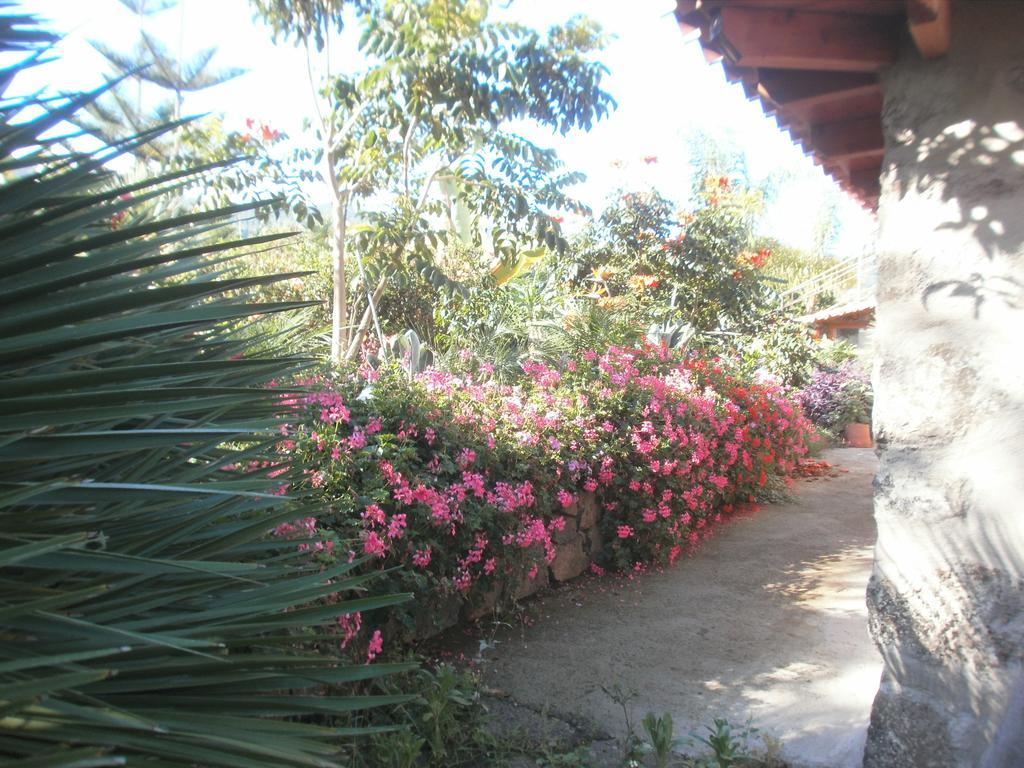 Finca Las Palmeras Icod De Los Vinos Exterior photo