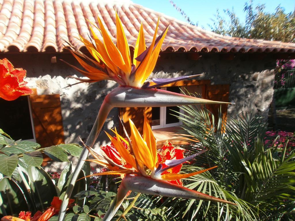 Finca Las Palmeras Icod De Los Vinos Exterior photo