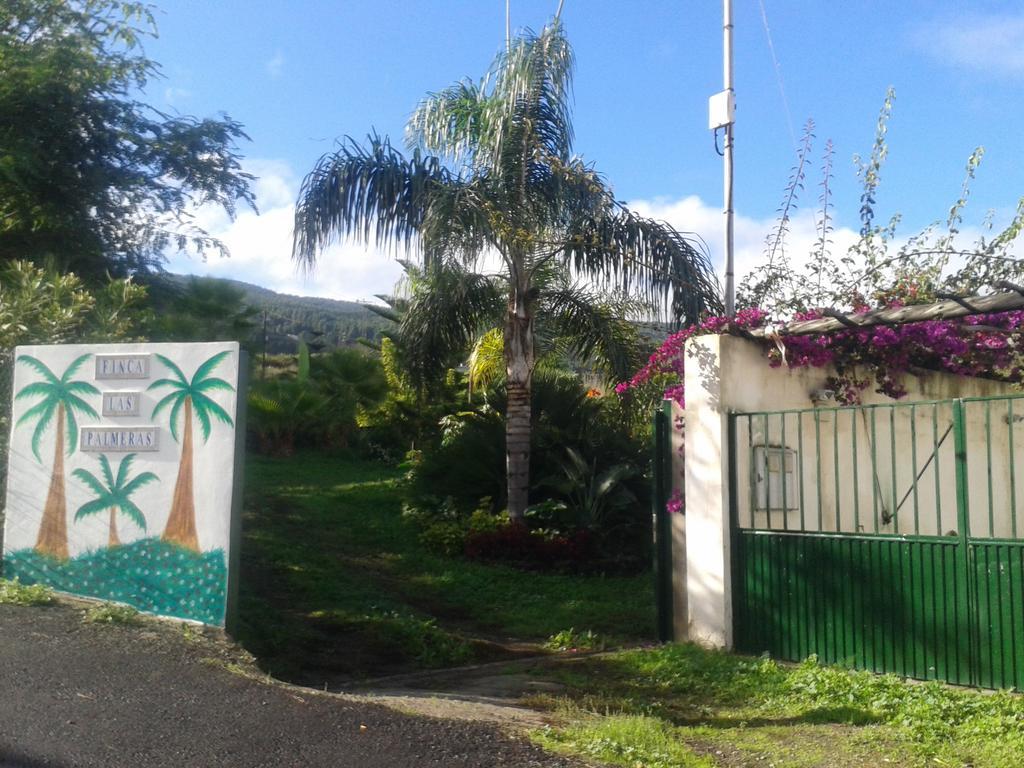 Finca Las Palmeras Icod De Los Vinos Exterior photo
